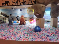 点击看大图 -卡通尼·Safari非洲探索乐园·生日会(金桥国际商业广场店)