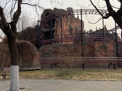 -朝阳公园游乐园