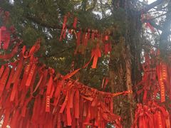 -中国花亭湖风景名胜区-西风禅寺