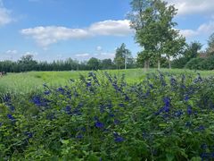 -汉长安城未央宫国家考古遗址公园