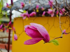-隆兴寺