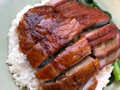 叉鸭饭-大聪烧鹅快餐店(梅林店)