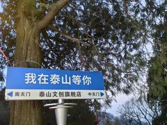 -泰山风景名胜区