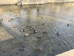 -元大都城垣遗址公园