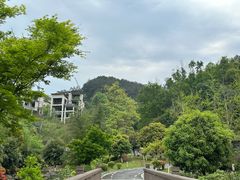 -缙云山景区