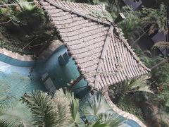 -黑龙江中医药大学附属第一医院