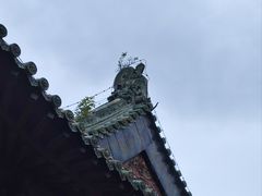 -报恩寺(平武县)