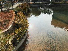 -四海公园(南山区)