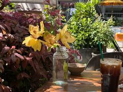 -蓝壁虎咖啡酒馆