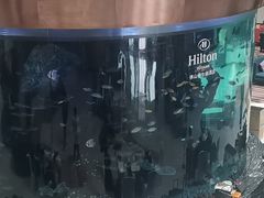 -OPEN開全日自助餐厅·西餐·海鲜(佛山希尔顿酒店)