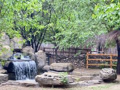 -北京野生动物园