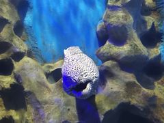 -石林冰雪海洋世界