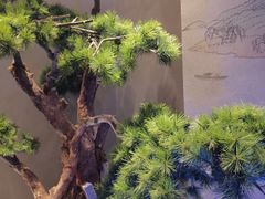 -绿茶餐厅(南昌王府井店)