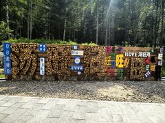 -汤旺河林海奇石景区