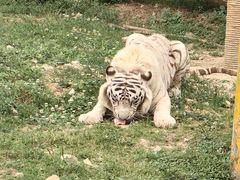 -无锡动物园·太湖欢乐园
