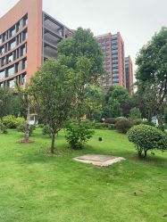 -重庆医科大学附属儿童医院(两江院区)
