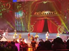 内景马戏表演-珠海横琴长隆《卡卡虎奇遇记》