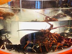 -万龙洲海鲜(大兴绿地缤纷城店)