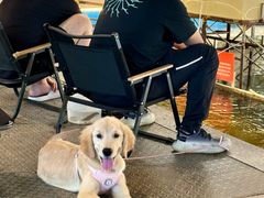 -粮心小农·大头虾亲子生态园(长发店)