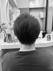 点击看大图 -GANO HAIR