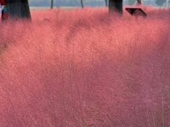 -汉长安城未央宫国家考古遗址公园