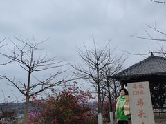 -马头山
