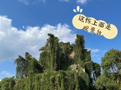 -上海月湖雕塑公园