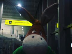 -谢列梅捷沃国际机场