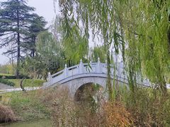 -咸阳湖景区-古渡公园