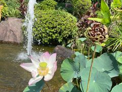 -广州莲花山旅游区
