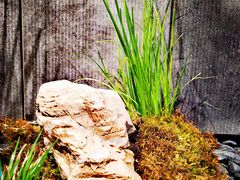 -陈熹公民族美食文化餐厅(中华广场店)