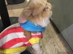 -小时光咖啡馆(开森度假森林店)