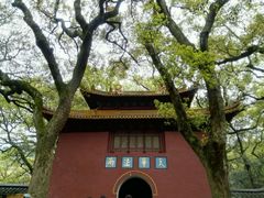 -普陀山风景名胜区-法雨禅寺