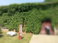 -冶山国家矿山公园