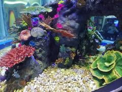 -成都浩海立方海洋公园