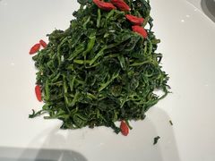 红果枸杞苗-清真·宁夏印象·盐池滩羊肉体验店(江宁路店)
