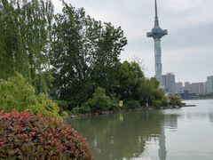 -聚龙湖公园