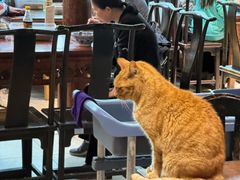 -西园寺素食(西园弄戒幢律寺店)