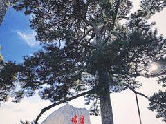 -妙峰山风景名胜区