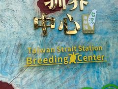 -广东惠东海龟国家级自然保护区