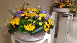 点击看大图 -菜百首饰(北京SKP店)