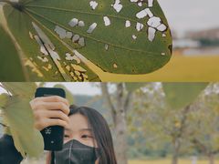 -艾米稻香小镇
