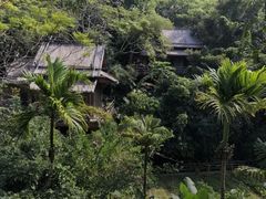 -海南槟榔谷黎苗文化旅游区