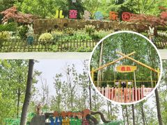 -合肥滨湖国家森林公园