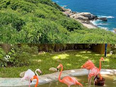 -三亚南山文化旅游区