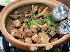 -华仔土鸡店(南洲分店)