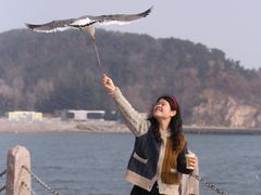 -烟墩角天鹅湖
