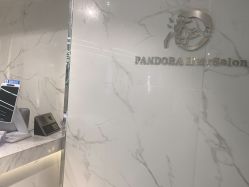 -潘多拉Hairsalon