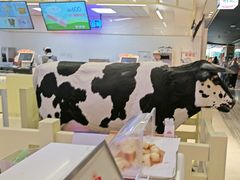 -红星前进面包牛奶公司(君太店)