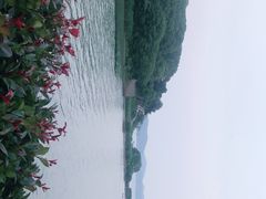 -上海市保健医疗中心